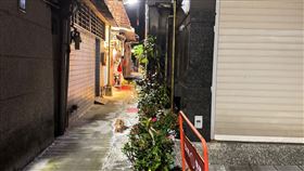 北市萬華「赫見白骨躺床」身分竟是女租客！房東嚇壞報警。（圖／翻攝畫面）