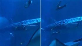 （圖／翻攝自新浪財經）