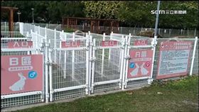 萌兔專區大型犬進入 狗主兔主口角互拍