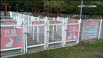 大狗進入「萌兔專區」　狗主兔主口角互拍