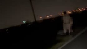 頭前溪河濱公園,保險套,遛狗,激戰,新竹（圖／翻攝畫面）