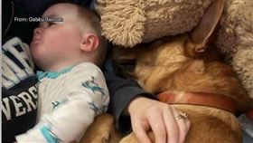 狗狗救主人　（圖／翻攝自每日郵報）