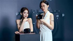 α1 II透過Sony AI處理元件支援優異的主體辨識表現，新增「自動」模式，可由相機自動偵測人類、動物、飛機和汽車等多元主體，優化整體拍攝體驗。（圖／品牌業者提供）