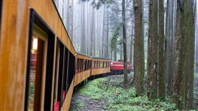 阿里山福森號將於7／28首航。（圖／雄獅旅遊提供）