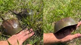 美國佛羅里達州一名野外冒險家David Orin，在一個湖畔邊，遇到有活化石之稱的「鱟」。（圖／Instagram／@adventorin）