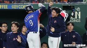 ▲世界12強棒球錦標賽複賽，台灣隊右外野手林立敲出安打送回張政禹。（圖／特派記者劉彥池攝影）