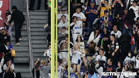 ▲世界12強棒球錦標賽複賽，東京巨蛋響起富邦悍將應援曲，在場的啦啦隊員跳起「32撞」。（圖／特派記者劉彥池攝影）