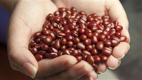 紅豆(圖翻攝自/pixabay)