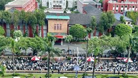 波波牙醫,本土小牙醫聯盟(圖/本土小牙醫聯盟 提供)