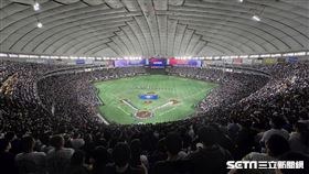 ▲世界12強棒球錦標賽冠軍戰，東京巨蛋湧進滿場球迷。（圖／特派記者劉彥池攝影）