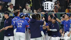 ▲世界12強棒球錦標賽冠軍戰，台灣隊捕手林家正炸裂陽春砲。（圖／特派記者劉彥池攝影）