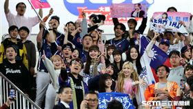 ▲台灣隊在世界12強棒球錦標賽奪冠，多位啦啦隊女神在看台上見證。（圖／特派記者劉彥池攝影）