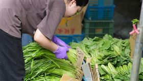 颱風造成農損　民眾預估菜價將漲颱風凱米襲台，造成全台灣農作物損失慘重，民眾預估蔬菜供貨量將減少，價格看漲。圖為台北市北投區的市場菜販26日在攤位整理葉菜類商品。中央社記者徐肇昌攝　113年7月26日