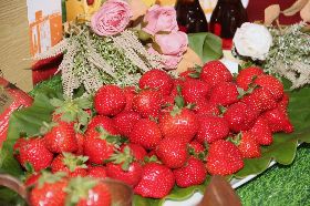 苗栗大湖草莓季報到（1）