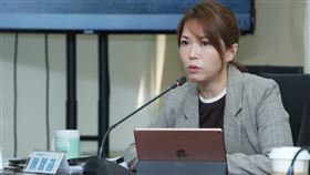 民眾黨立法院黨團主任陳智菡。(圖/民眾黨團提供)