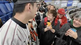 台南Josh、穿日球衣、歡呼、日球迷、台日友好、12強