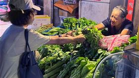 除了菜價居高不下之外，菜農還出現沒菜可賣的窘境。（圖／翻攝自CTWANT）