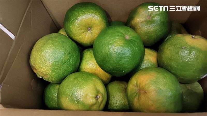 開業中醫師陳潮宗表示，橘子具清熱生津與潤肺作用，適合熱咳患者。（圖／記者許雅惠攝影）