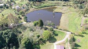 十八兒,五峰,農改場,新竹（圖／翻攝畫面）