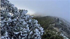 雪管處28日下午在官方臉書粉絲團發布照片，表示隨著冷氣團來襲，雪霸園區著名的雪山主峰至大霸尖山的聖稜線上已成一片「銀白世界」，吸引登山客駐足拍照。（圖／翻攝FB／雪霸國家公園／山友周曉芳提供）