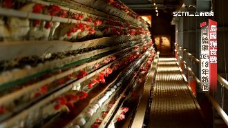 影／島國糧食戰　自給率18年新低