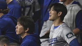 ▲大谷翔平要求前翻譯水原一平歸還冒用帳號購買的球員卡。（圖／美聯社／達志影像）