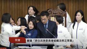 民進黨立委陳瑩衝主席台與國民黨立委爆發衝突。（圖／翻攝國會頻道）