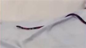 一位媽媽在睡覺時，被爬過脖子的蛇驚醒。（圖／翻攝自X）