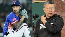 台灣隊,12強,日本,美職,亞利桑那響尾蛇,林昱珉,蔡其昌,談判,曾豪駒