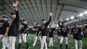 台灣隊奪冠的紀念T-Shirt引起全民瘋搶，2天內就賣出10萬件，創下Fanatics Japan 的銷售紀錄（圖／翻攝自WBSC）