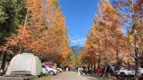 武陵農場,冰雪奇緣,結冰,美景,楓紅（圖／武陵農場提供）