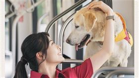 消防月曆,高雄市消防局,搜救犬,領犬員,大肌肌