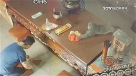 人猴四目相對！擲筊猛抬頭　猴王摸走供桌果