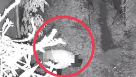 陌生女子竟在別人家忘情拉屎，引發熱議。（圖／翻攝畫面）