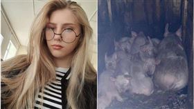 米萊娜（Milena Shevelyova）日前被發現陳屍父親的豬舍。（圖／翻攝自X）