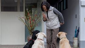 導盲犬,蔡英文,離世（圖／翻攝自蔡英文臉書）