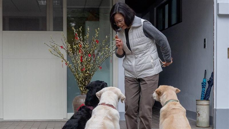 導盲犬皆離世 Bunny撐到蔡英文返台才離開