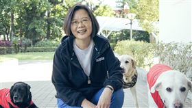 導盲犬,蔡英文,離世（圖／翻攝自蔡英文臉書）