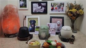 3隻退役導盲犬相繼過世，火化後存放在狗造型骨灰罈中，套上生前項圈。（圖／翻攝自蔡英文臉書）