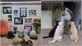 得知死訊，惠光導盲犬學校也發聲了：悲傷過後，留下的都是美好的回憶，自由自在的飛翔吧！（圖／翻攝自蔡英文臉書）