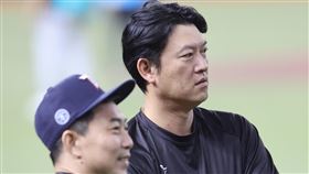 台灣隊備戰世界12強棒球賽  王建民場上指導備戰世界12強棒球賽，台灣隊在台北大巨蛋展開第2階段集訓，投手教練王建民（右）29日下午在場中指導球員，觀察球員狀況。中央社記者趙世勳攝  113年10月29日