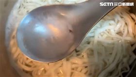 台南,關廟麵,蟲,台南市衛生局