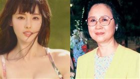 ▲張嘉倪是瓊瑤唯一沒捧紅的女主角。（圖／翻攝自張嘉倪微博）