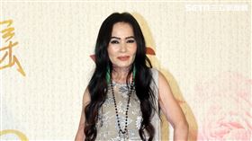 潘越雲去年出席「當那一首歌響起」瓊瑤創作60周年演唱會。（圖/資料照）