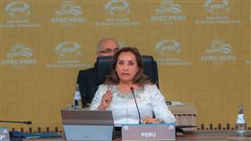 比尹錫悅還慘！祕魯女總統「民調剩5％」恐被轟下台　只因她跑去隆鼻。秘魯，總統博盧阿特（Dina Boluarte）秘魯總統推特