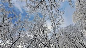 （示意圖／翻攝自photoAC）