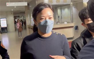 查民眾黨政治獻金！檢調約談新光吳欣盈