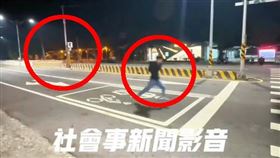 猴子,測速照相機,觸發,惡搞,好玩