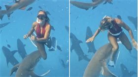 旅遊網美與50隻鯊魚共舞，慘被硬上「種草莓」濺血！震撼影片曝光。（翻自《紐約郵報》）