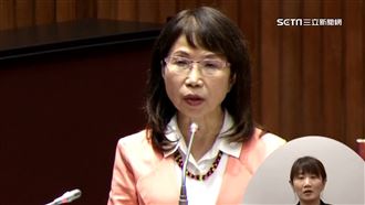 稱「聖母瑪利亞是代孕」挨轟！陳昭姿道歉